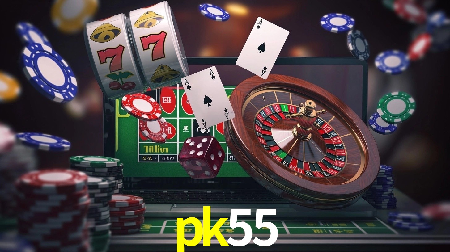pk55 App Interface